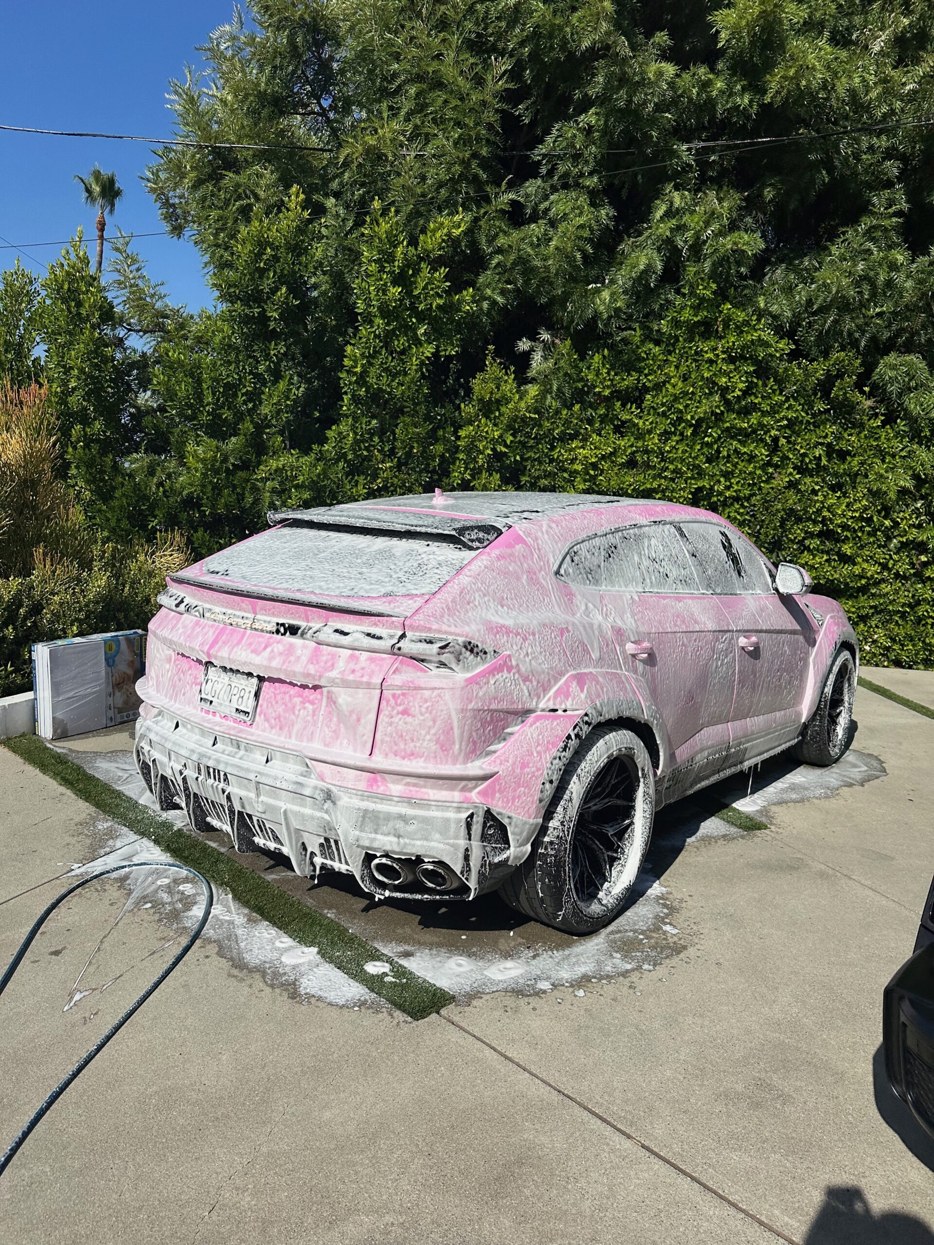 Auto Detailing IMG_8281