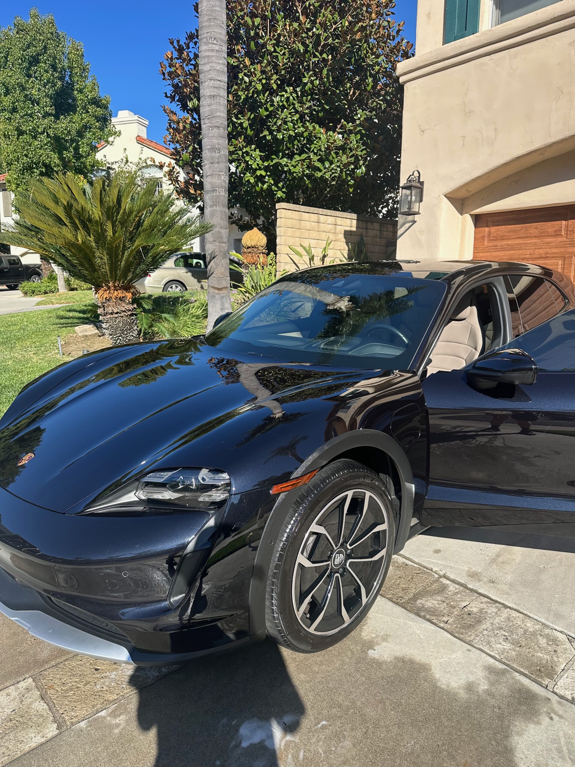 Auto Detailing IMG_8990 (1)